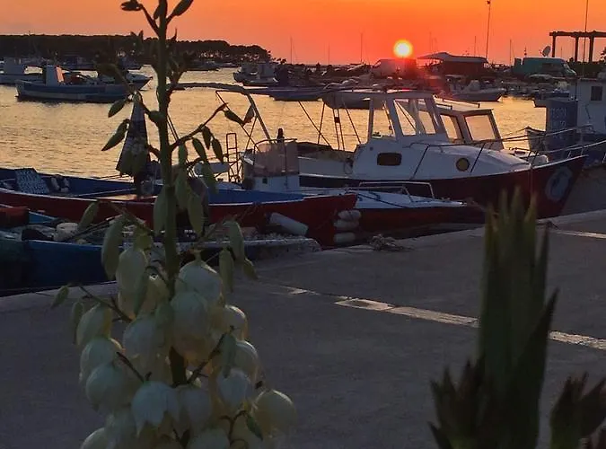 Konukevi La Casa Di Ada E Gigi Vacanze Porto Cesareo